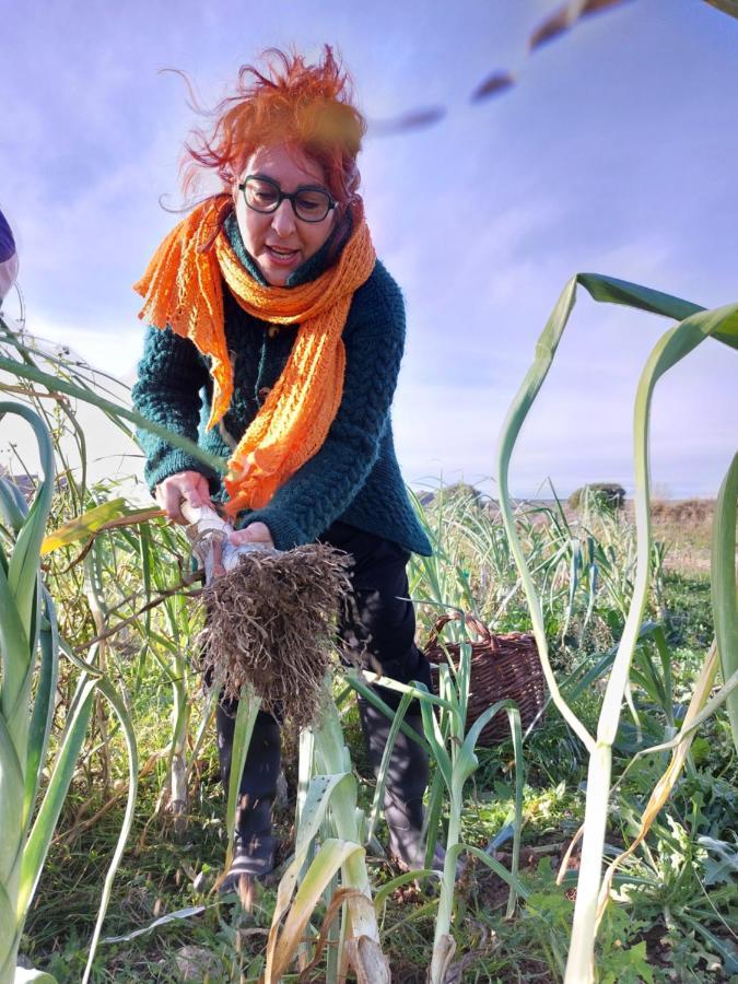 Alloza Turismo Rural La Ojinegra מראה חיצוני תמונה